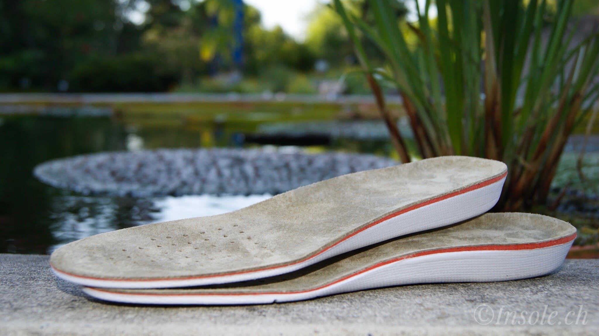 Sohlenkönig 2.5cm Erhöhungseinlage